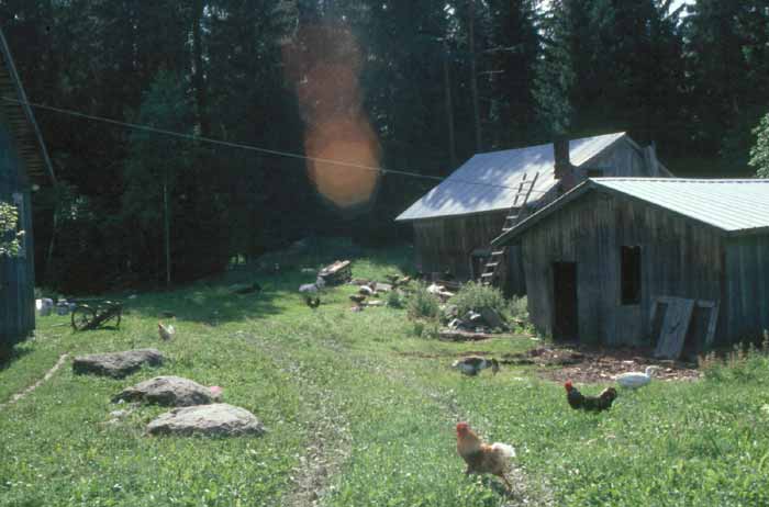 Anna-Liisan aurinkoinen mäki