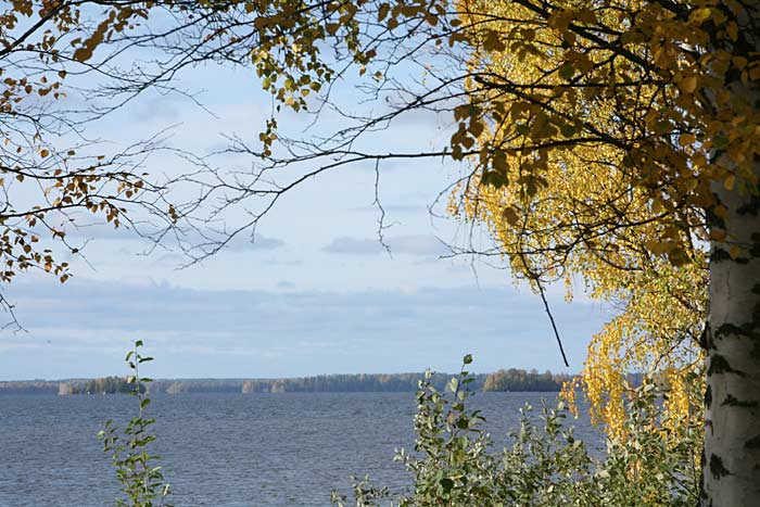 Maisemaa