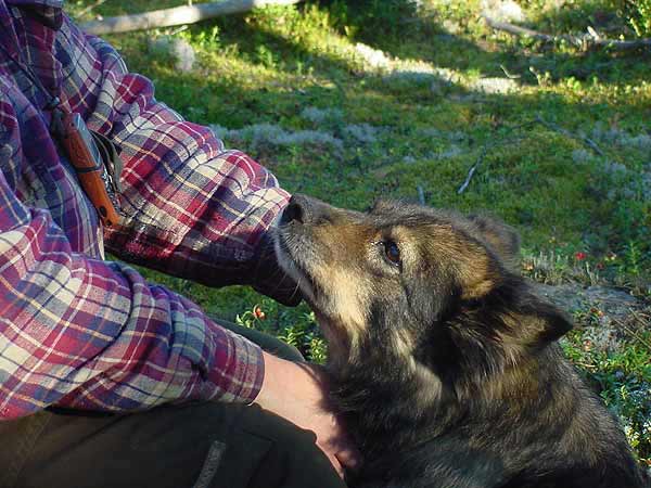 Veikko silitt Lilli