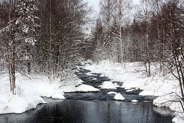 Niskakoski