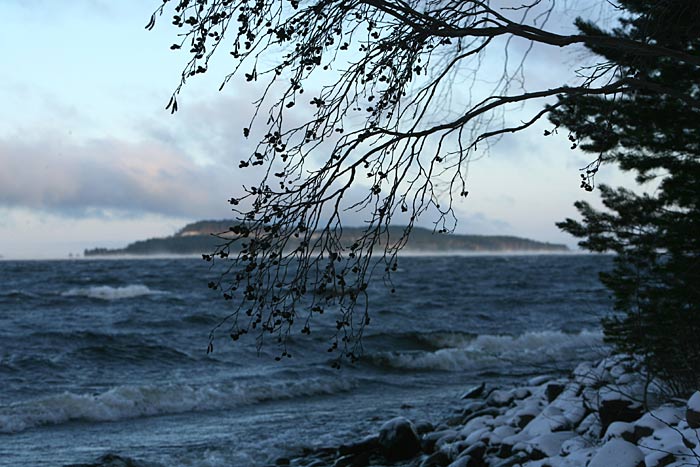 Ranta