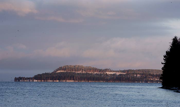 Jouhteninen aamun valossa