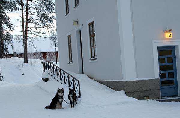 Tsahpi ja Pipari