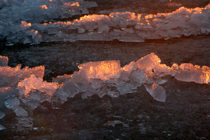 minussakytituli