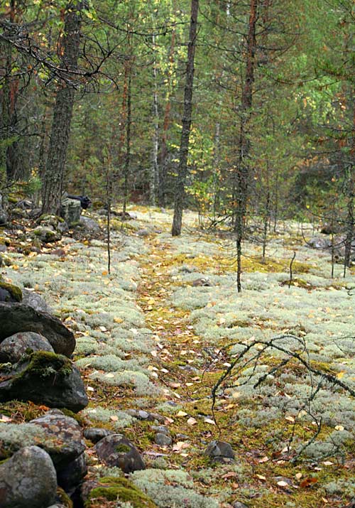 Jklpolku