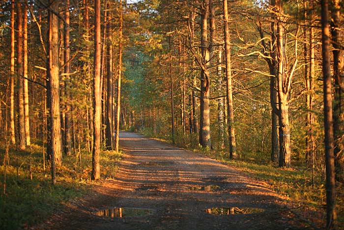 Vanha jrvenlaskuntie