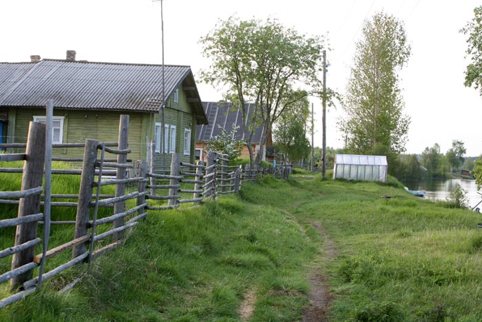 kujonen1