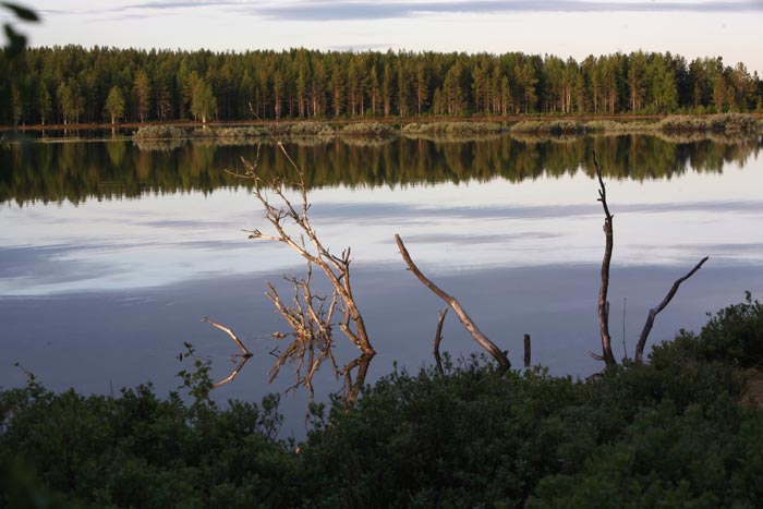 lampiaamuaurinko