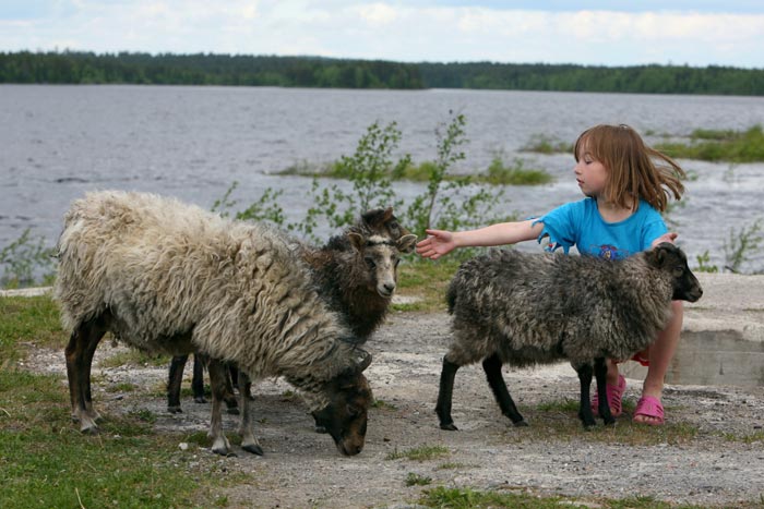 marinzenjalampaat