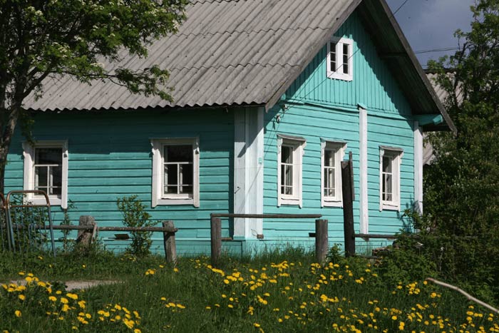 taloturkoosi