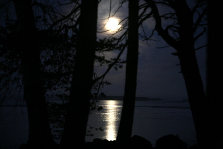kuutamo