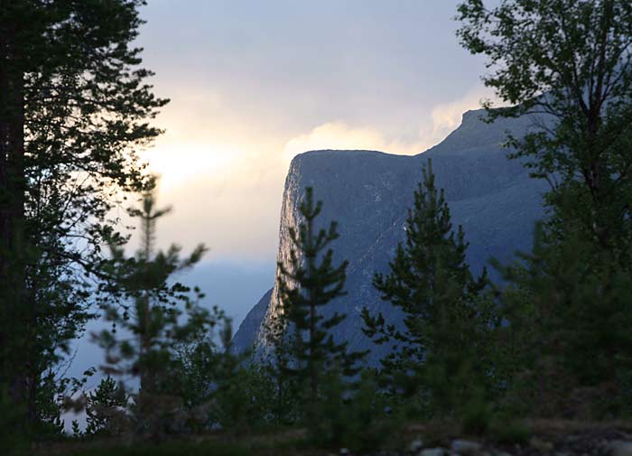 Maisema